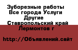 Зуборезные работы - Все города Услуги » Другие   . Ставропольский край,Лермонтов г.